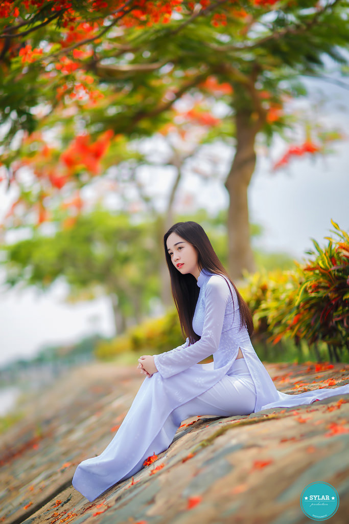 柏瑞桐